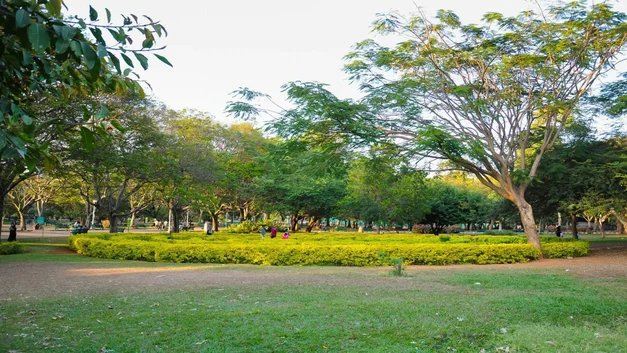 Top 5 Public Parks In Surat You Must Visit: Discover The Green Oasis Best parks in surat for walking and relaxation