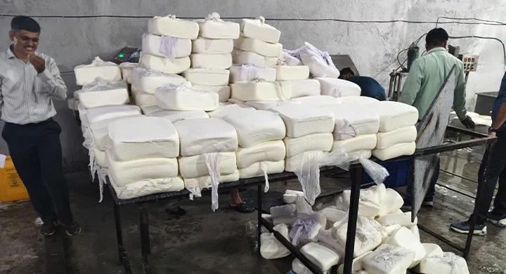 Fake Paneer Scandal In Surat: 1400 Kg Fails Test, Industrial Chemicals Found 1 Fake paneer scandal in surat seized paneer pandesara smc raid