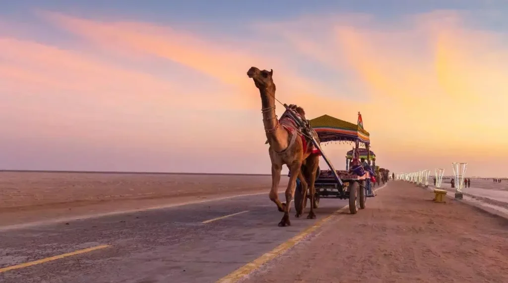 Kutch rnnotsav e1739087600514