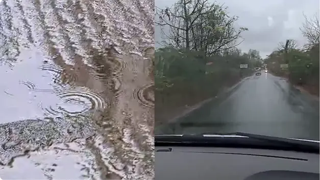 Valsad Unseasonal Rain – Mango Farmers In Umargam Face Losses Valsad unseasonal rain