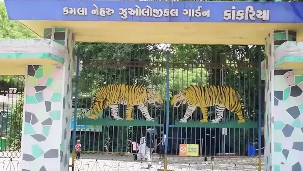 Ahmedabad Kankaria Zoo Takes Special Steps To Protect Animals From Heatwave Ahmedabad kankaria zoo takes special steps to protect animals