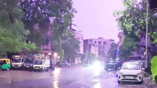 Surat On Yellow Alert; Thunderstorms And Strong Winds Likely Over Next 48 Hours Surat on yellow alert