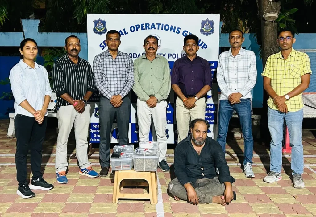 Vadodara Sog Busts Cannabis Racket Near Akota Bridge, ₹80,150 Worth Of Contraband Seized Vadodara sog busts cannabis racket near akota bridge