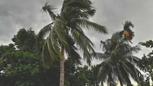 Cyclone Arnab: Odisha Bans Fishing And Tourism In Six Districts, Schools To Close Cyclone arnab: odisha bans fishing and tourism in six districts, schools to close
